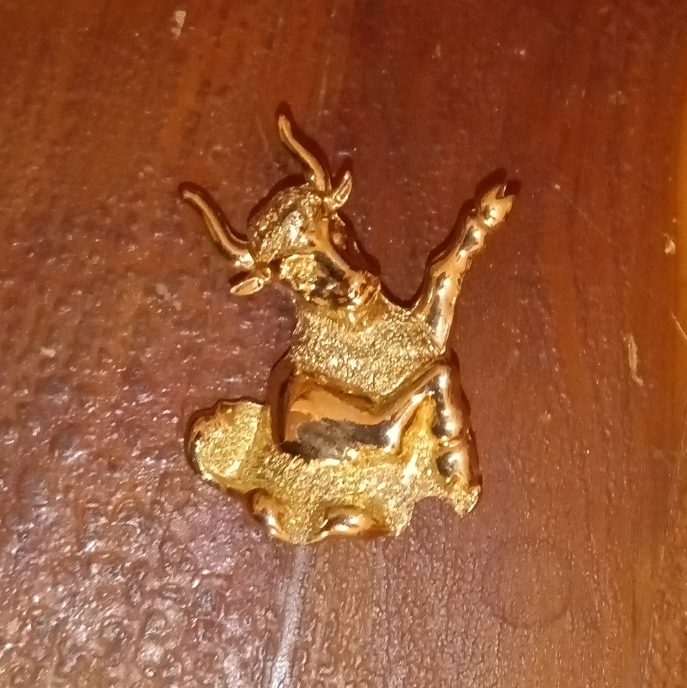 Taurus Bull Da Vinci Brooch